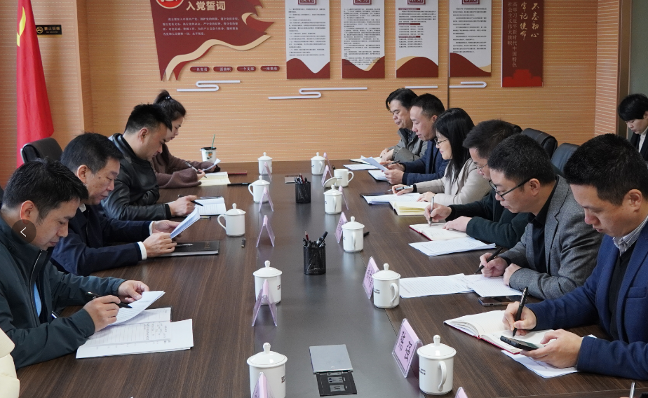 市國資委領導赴再擔保公司開展調(diào)研指導