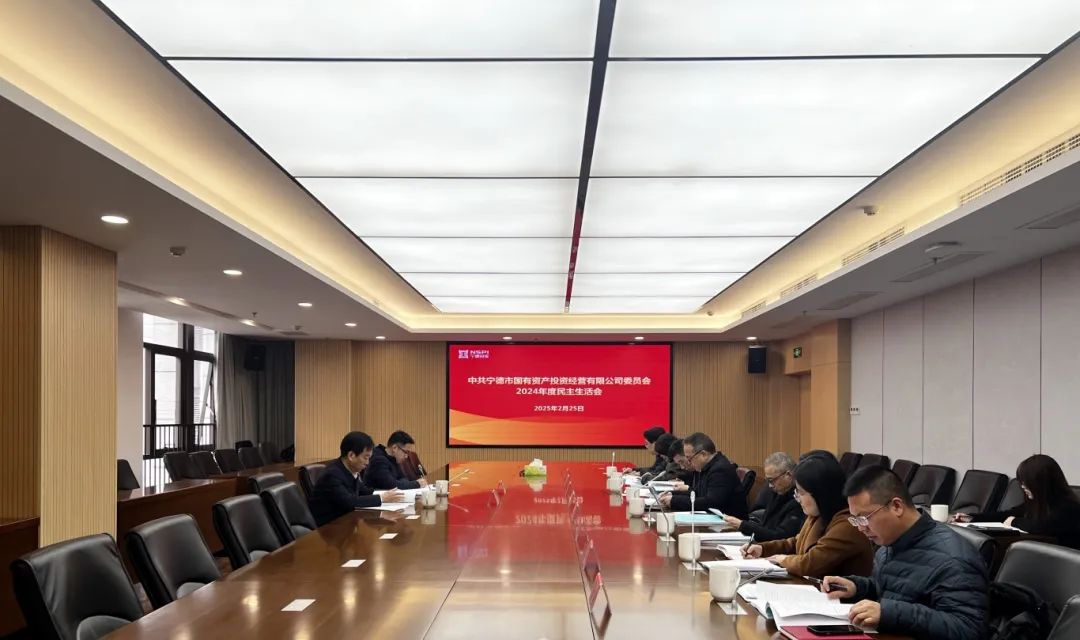 市國投公司黨委召開2024年度民主生活會