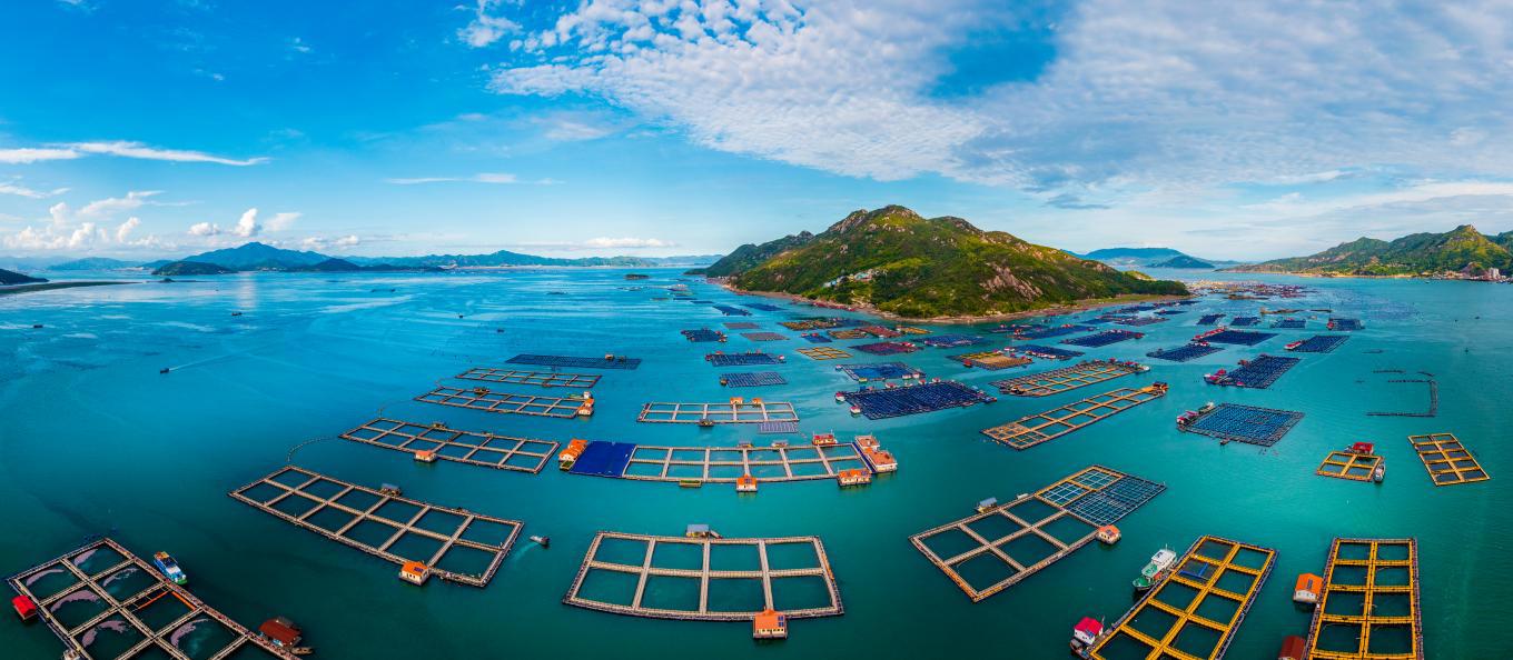 寧德國投：深化金融服務創(chuàng)新 貢獻國有擔保力量